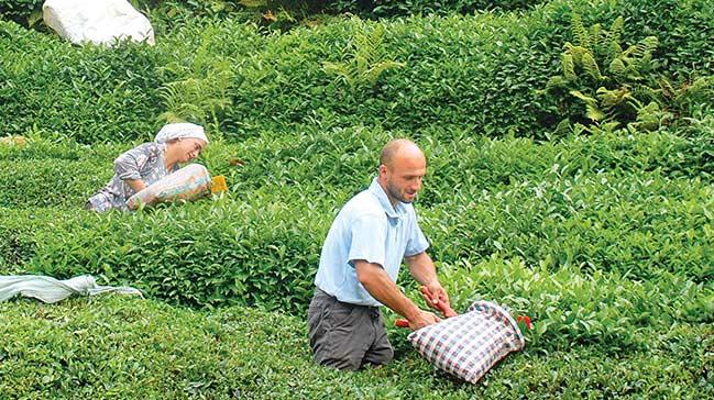 iftiye, imama ay yetitirmeyi retecek