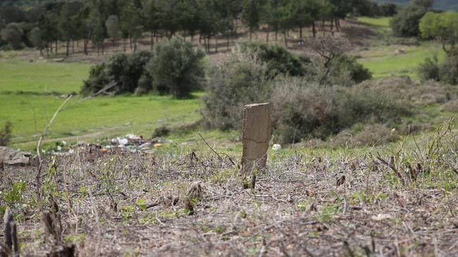 anakkale'de yeni 'ehitlik' bulundu