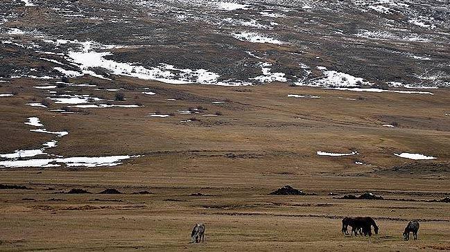 Ardahan'da baz alanlar 'zel gvenlik blgesi' ilan edildi