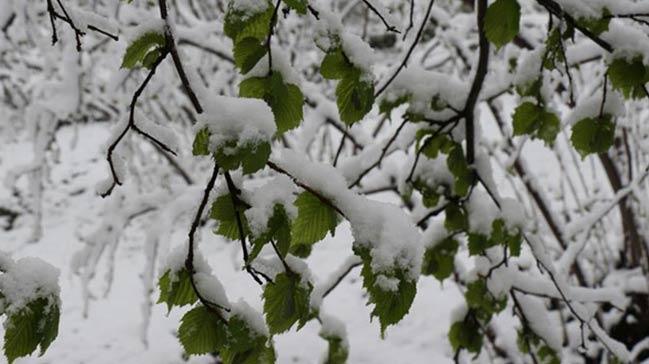 Meteoroloji'den zirai don uyars