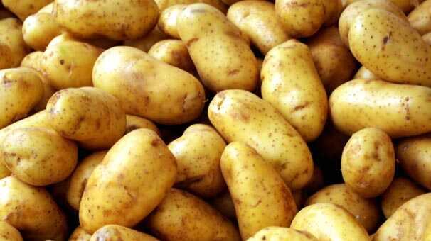 0 fotoraflar resimleri