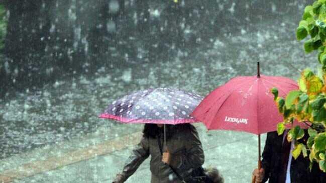 0 fotoraflar resimleri