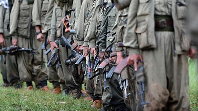 Hakkari'de st dzey 4 PKK'l ldrld