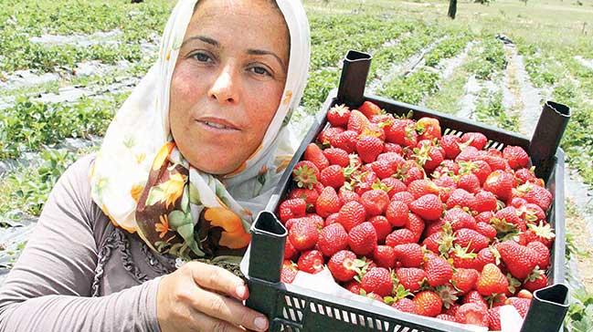 Bu ay 1.2 milyar liralk hibe destei verilecek