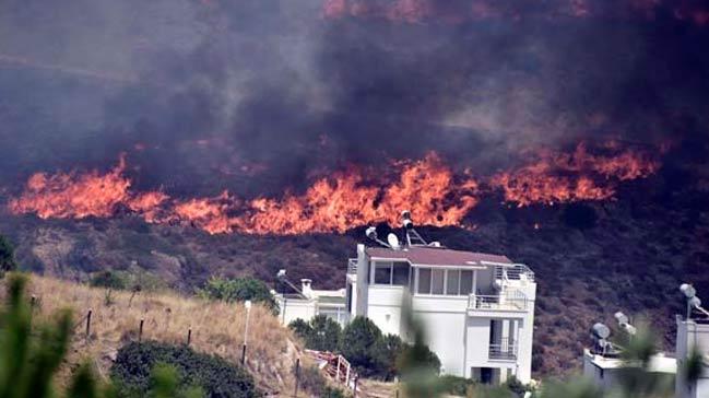 Bodrum'da makilik alanda yangn