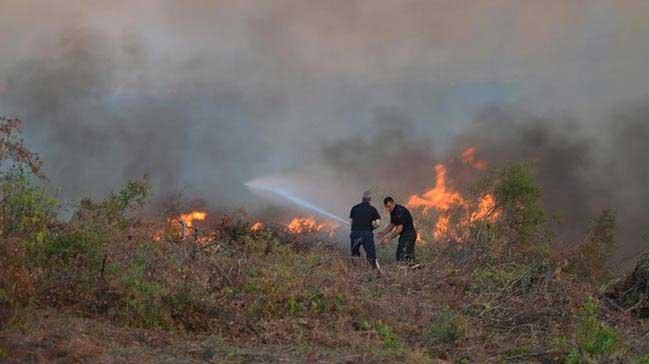 Antalya'da 3 gnde 12 orman yangn