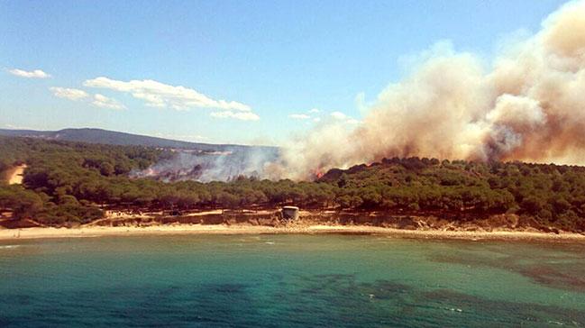 anakkale'de ehitliklerin bulunduu alanda orman yangn