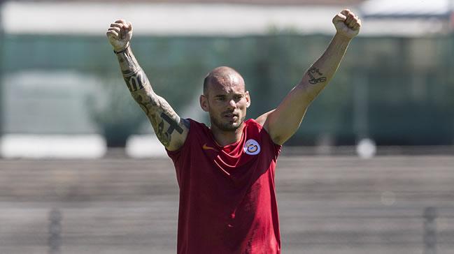 Wesley Sneijder profesyonellii