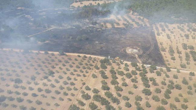 anakkale'de orman yangn