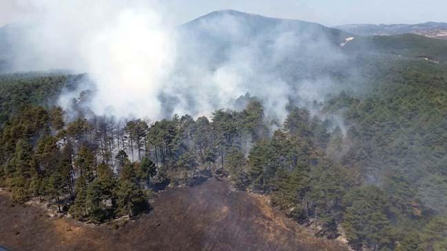 Alanya'da orman yangn sryor