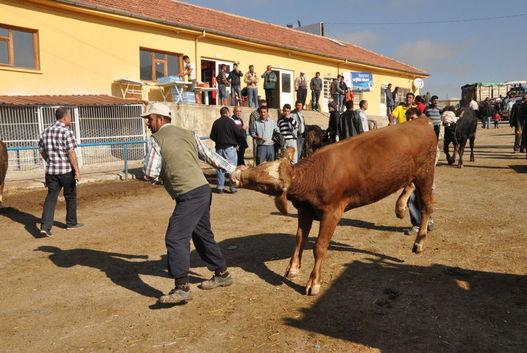 Kurban keserken okunacak dua nedir"