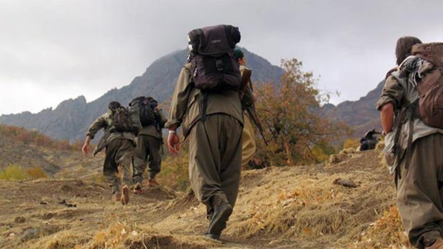 Hakkaride bombal eylem planlayan PKKl yakaland