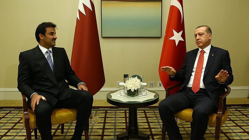 Cumhurbakan Erdoan, Katar Emiri Sani ile bir araya geldi