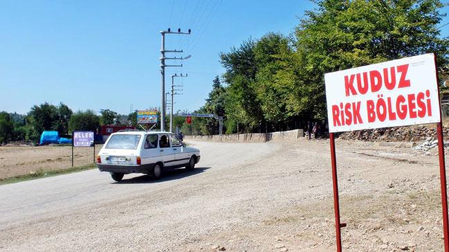 Osmaniye kuduz kurban panii! Karantina balad