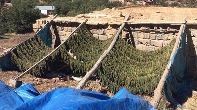 31 sutan aranan zanl Lice'de yakaland