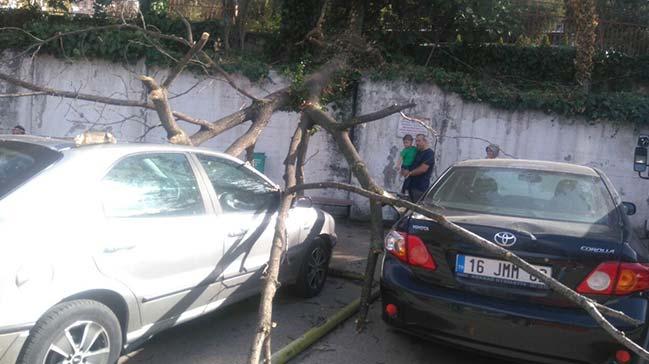 Lodostan devrilen aa park halindeki 5 aracn zerine dt