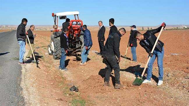 Nusaybin Belediyesi aalandrma almas balatt