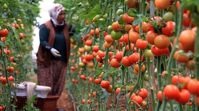 Antalya iftisinin kula, Rusya'dan gelecek iyi haberde