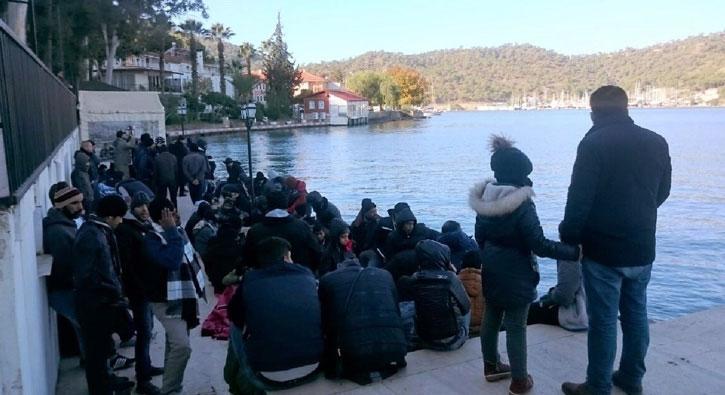 Fethiye'de 260 kaak gmen yakaland