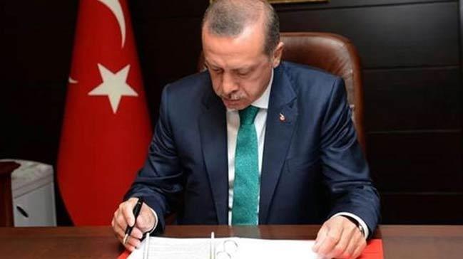 Cumhurbakan Erdoan, 12 niversiteye rektr atad