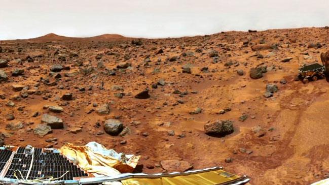 Mars'ta yaayabilen canl kefedildi