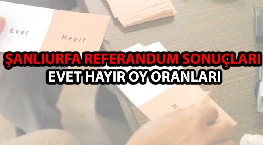 anlurfa seim sonular referandum oy oranlar