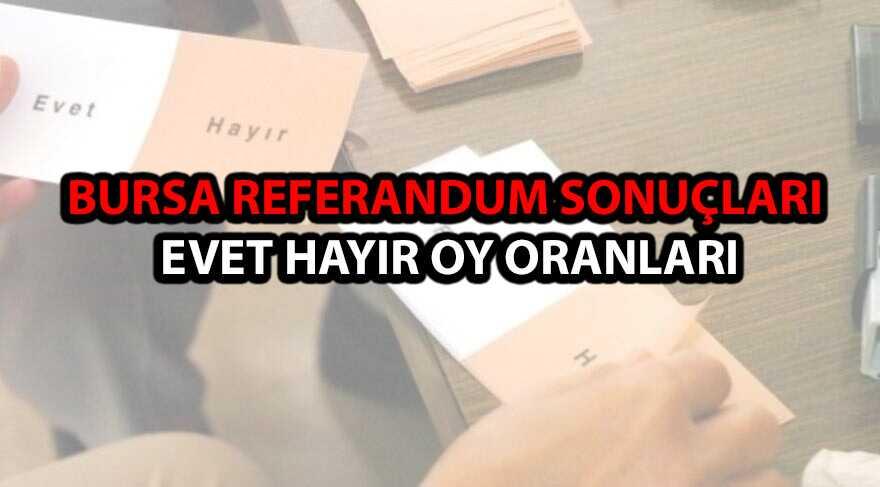 Bursa seim sonular referandum evet hayr oy oranlar