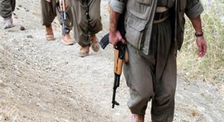 Terr rgt PKK'nn szde yneticisi Kulp krsalnda yakaland