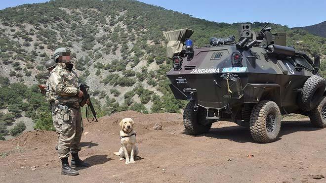 Nusaybin'de operasyon: 9 patlayc bulundu 2 terrist etkisiz hale getirildi