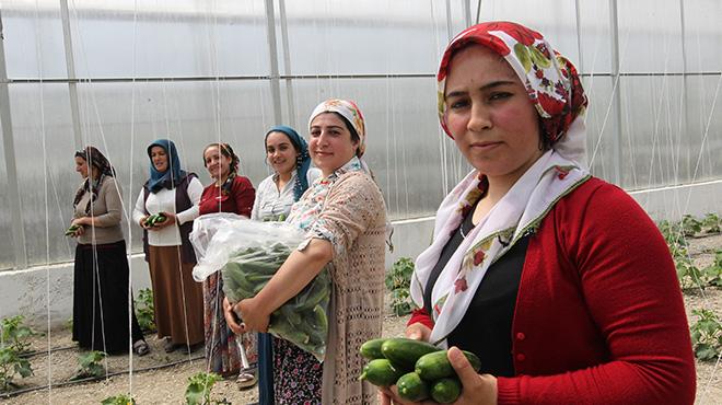 Hakkari'nin serac kadnlar