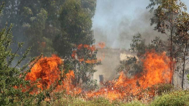 Yunanistan'n Korinthos blgesinde yangn: 1 l, 2 yaral