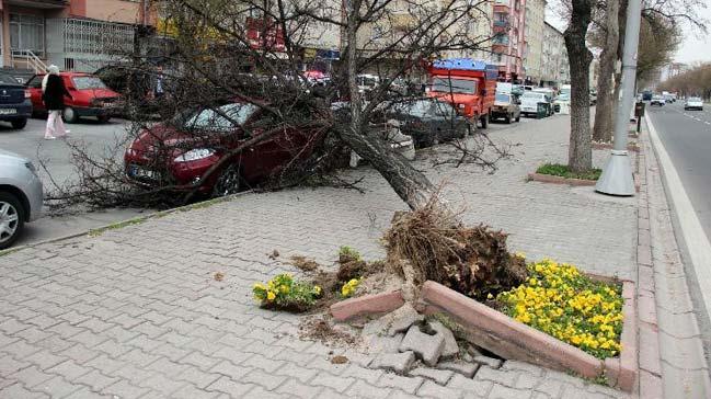 Malatya'da iddetli rzgar etkili oluyor