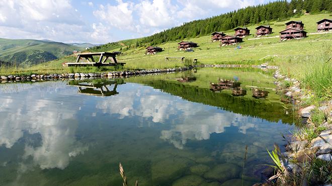 Vejetaryen ehir Giresun