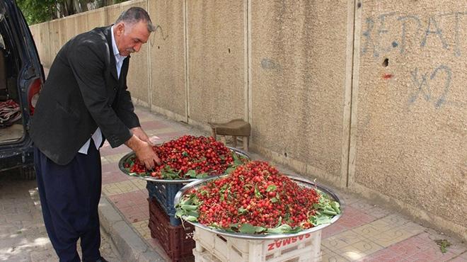 Mardin kiraz tezgahtaki yerini ald