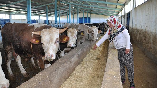 Mulu kadnlar devlet desteiyle iftlik kurdu