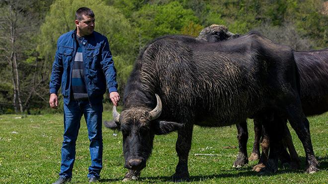 Pirini ky talyanlar'n ilgi oda oldu