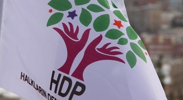 FET'den tutuklanan Enis Berberolu'na HDP'den destek