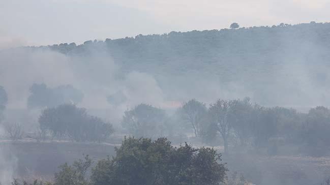 anakkale'de 6 hektar tarm arazisi ve makilik alan yand