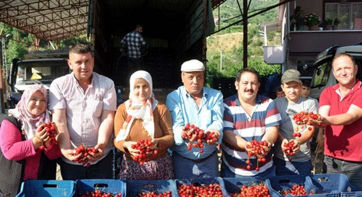 Nazilli'de kiraz sat borsa usul yaplyor