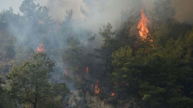 Meteoroloji'den 'orman yangn' uyars