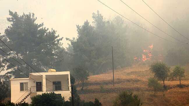 Yangnda, 2 koyun ile 15 tavuk telef oldu