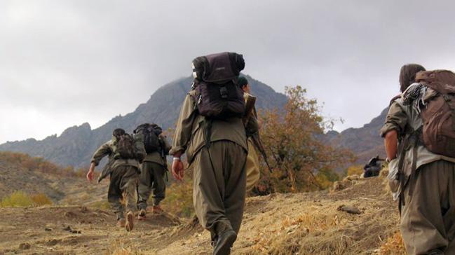 Son dakika: PKK'ya ynelik operasyonda 5 terrist etkisiz hale getirildi