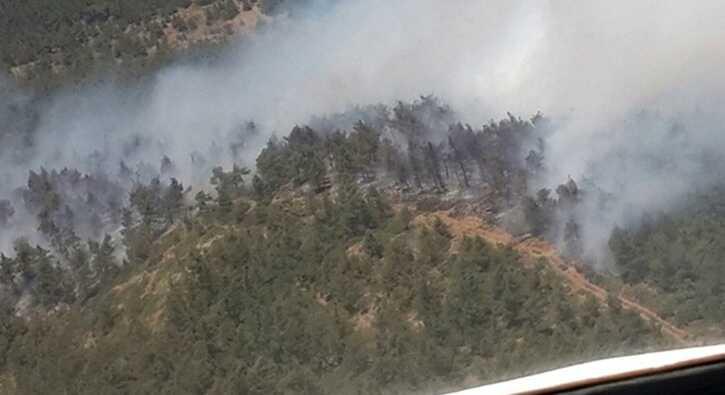 Hatay'daki yangnda 25 hektar orman zarar grd