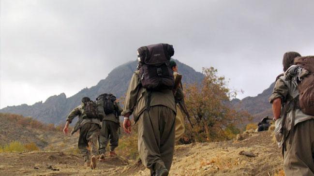 Son dakika: Hakkari ve Bitlis'te 2 PKK'l terrist teslim oldu