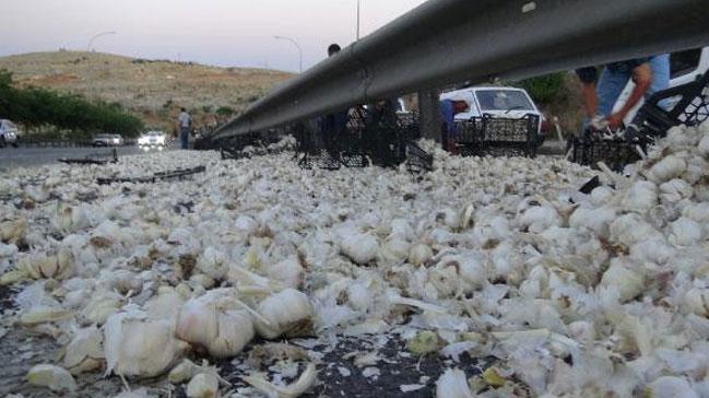 Bariyerlere arpan TIR'daki 23 ton sarmsak yola sald