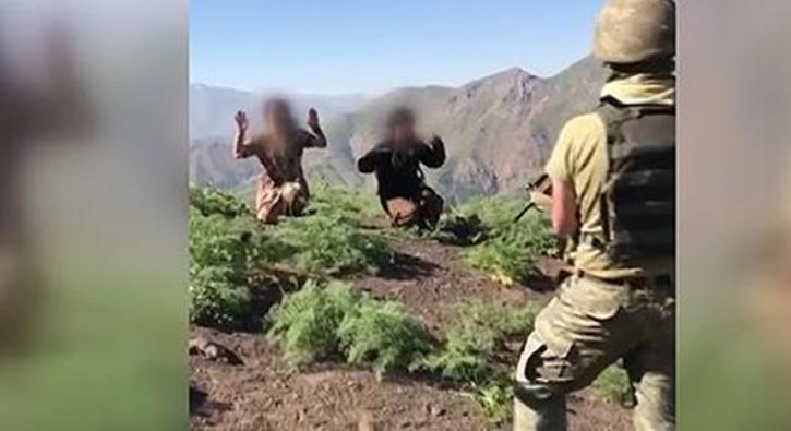 rnak ve Hakkari'de 5 PKK'l terrist gvenlik glerine teslim oldu