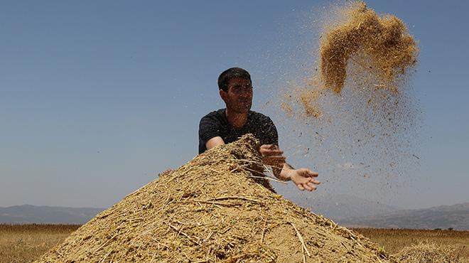 lk kez ektii kinoa bitkisinden 400 bin lira gelir bekliyor