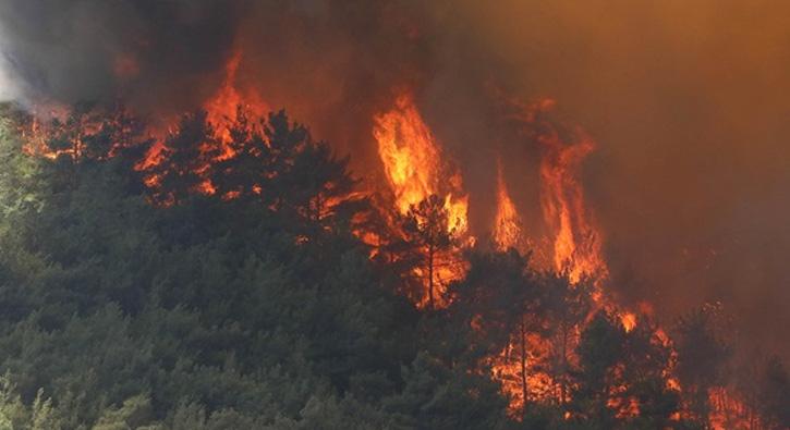 Fransa'daki orman yangnlarnda 5 bin hektarlk alan yand