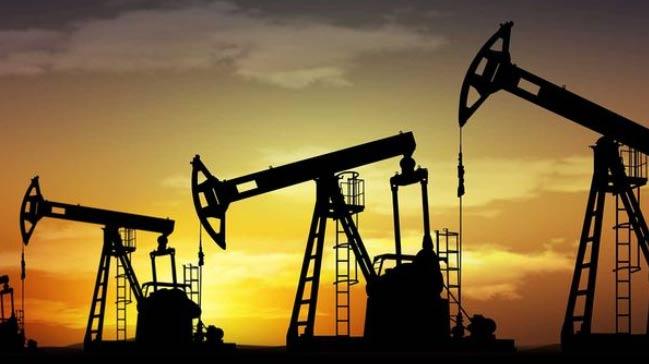 Nijerya'nn kuzeydousunda petrol arama almalar durduruldu