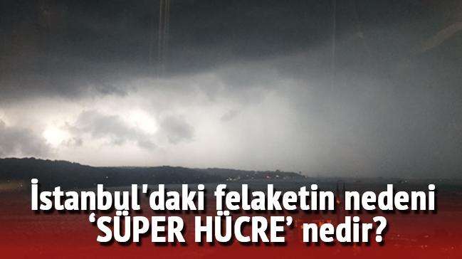 stanbul'daki felaketin nedeni Sper hcre mi" Sper hcre nedir" 